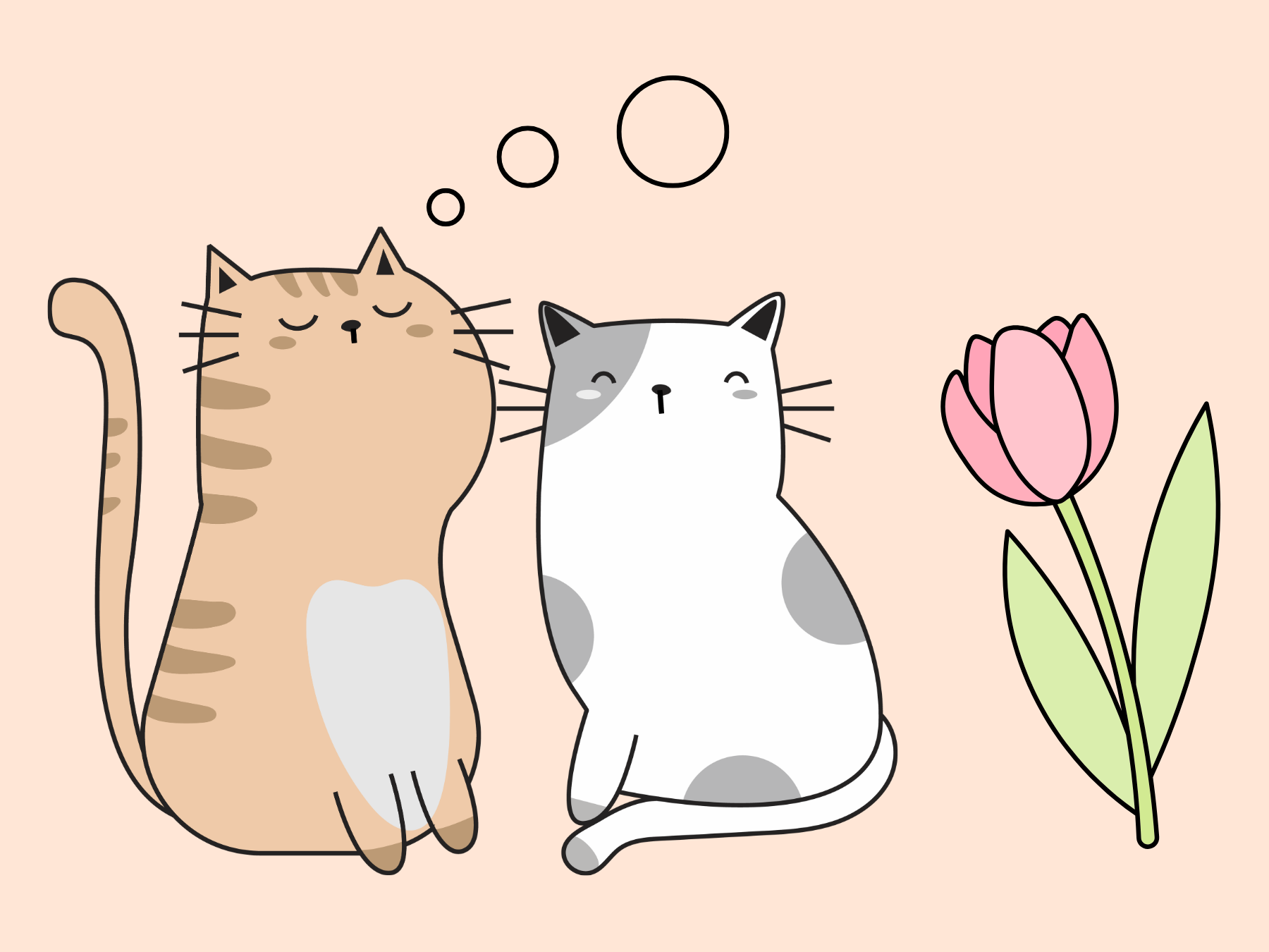 【グルメコラム01】冬と猫、「かわいい！」の裏側にある生態学
