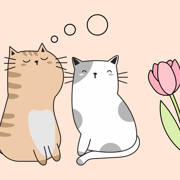 【グルメコラム01】冬と猫、「かわいい！」の裏側にある生態学
