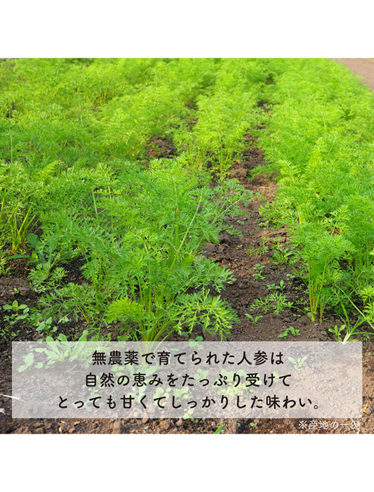 【お取り寄せ(送料込)】＜bebemeshi＞7ヶ月頃～ おそとごはんセット（6食）