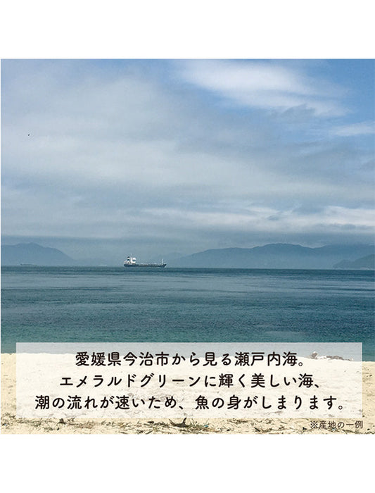 【お取り寄せ(送料込)】＜bebemeshi＞7ヶ月頃～おそとごはんセット（20食）