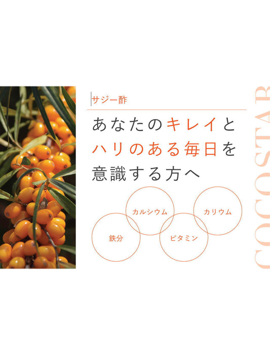【お取り寄せ(送料込)】綺麗ドリンクお試し200ml3本セット