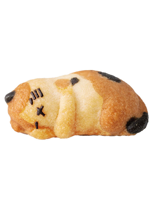 【受注】おひるねにゃんこはバタークッキーの香り 5個BOX