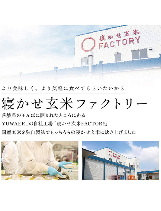 寝かせ玄米ごはんパック4種　12食セット　