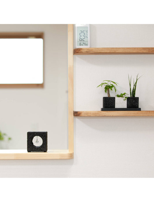 【メーカー直送(送料込)】＜eco-pochi＞おしゃれに消臭できるインテリアグリーン/トゥーリオ(観葉セット)