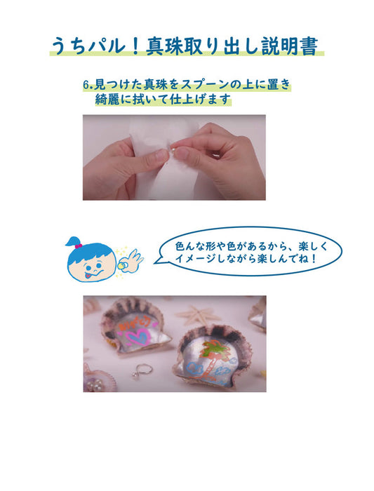 【メーカー直送(送料込)】うちパル! 真珠取り出し体験キット1個