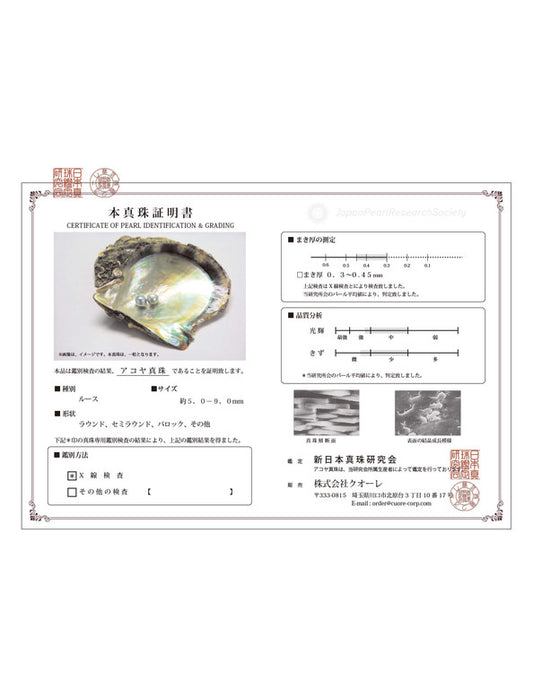 【メーカー直送(送料込)】うちパル! 真珠取り出し体験キット1個