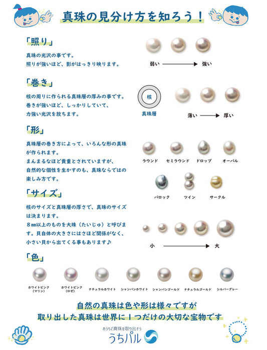 【メーカー直送(送料込)】うちパル! 真珠取り出し体験キット5個セット