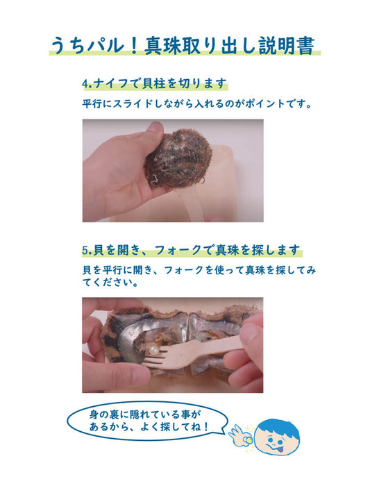 【メーカー直送(送料込)】うちパル! 真珠取り出し体験キット5個セット