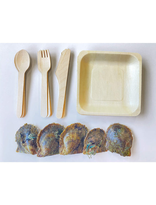 【メーカー直送(送料込)】うちパル! 真珠取り出し体験キット5個セット