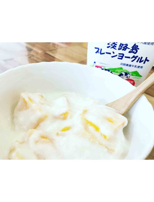 【お取り寄せ(送料込)】＜KIRIROM＞やわらかソフトドライマンゴー(400g)