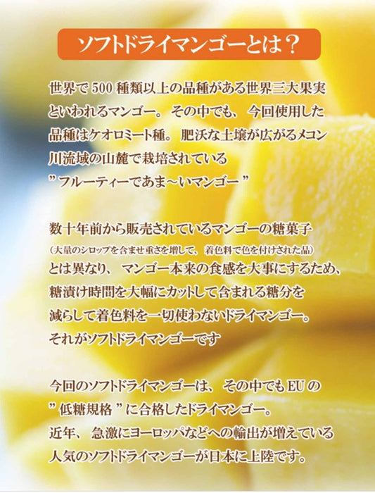 【お取り寄せ(送料込)】＜KIRIROM＞やわらかソフトドライマンゴー(400g)