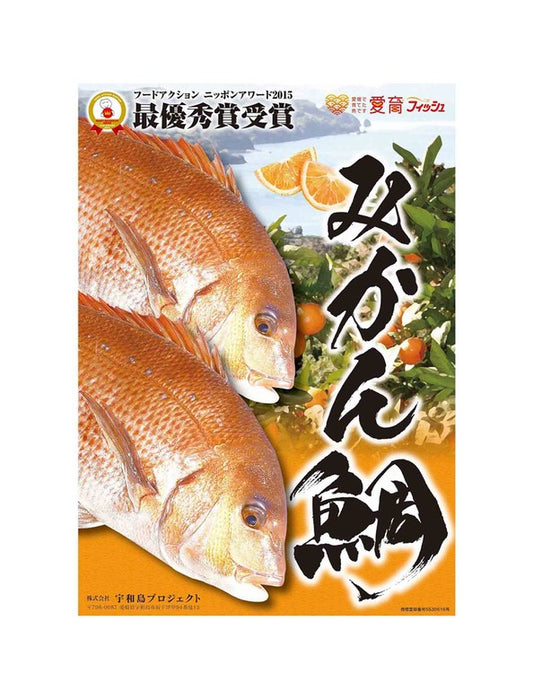 【お取り寄せ(送料込)】＜宇和島プロジェクト＞「みかん鯛」スキンレスロイン(1尾4P）