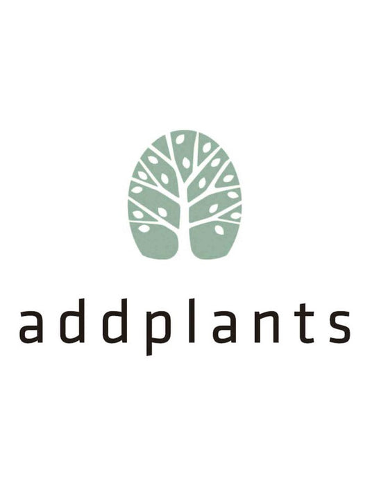 【お取り寄せ(送料込)】＜addplants＞京都缶 環づめプロジェクト/京タケノコカレーセット