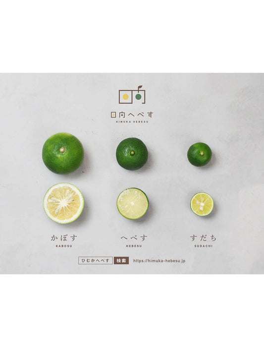 【お取り寄せ(送料込)】＜日向へべす＞幻の柑橘使用/日向ヘベすシロップ 2本セット