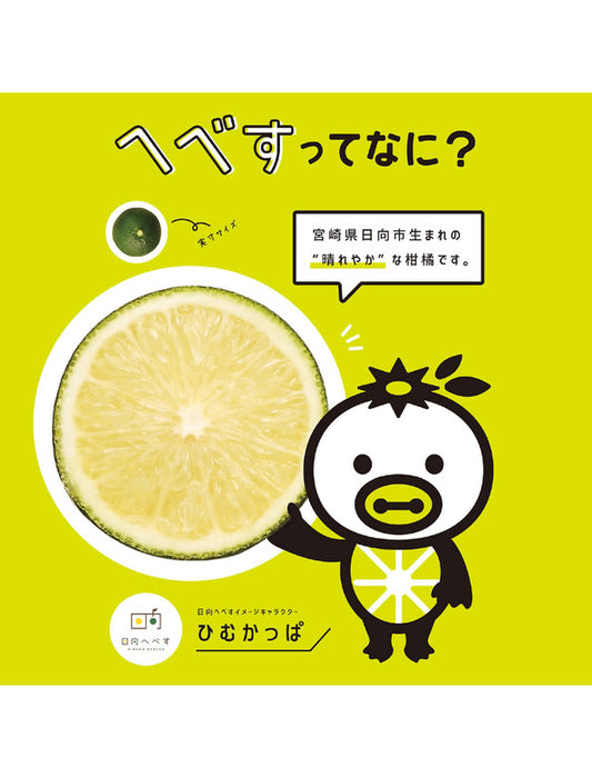 【お取り寄せ(送料込)】＜日向へべす＞幻の柑橘使用/日向ヘベすシロップ 2本セット