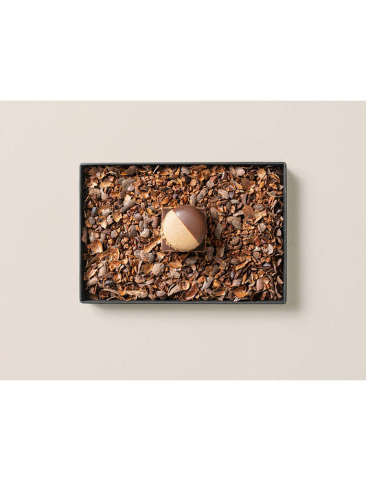 【お取り寄せ(送料込)】＜MAMEIL＞NAMA CHOCOLATE MACARON