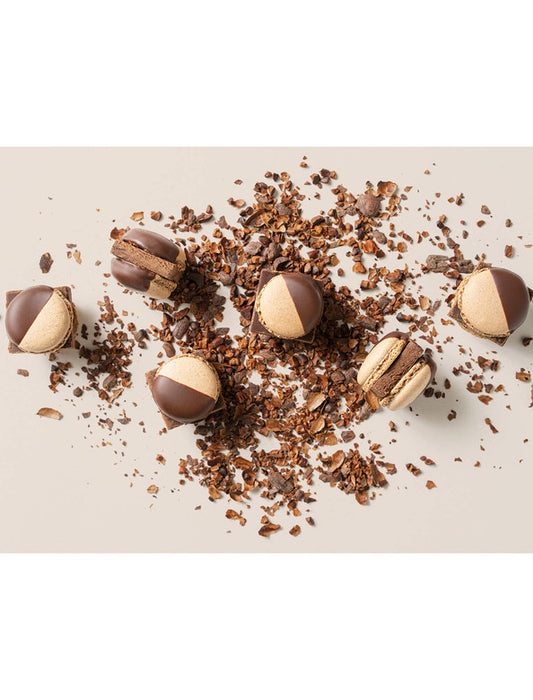 【お取り寄せ(送料込)】＜MAMEIL＞NAMA CHOCOLATE MACARON