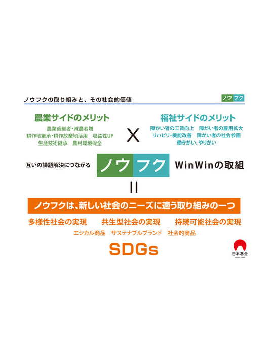 【お取り寄せ(送料込)】＜千房＞本場大阪 名店の味 国産きくらげ入り豚モダン焼6枚セット（NFB6）