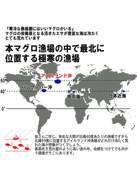 【お取り寄せ(送料込)】＜極寒本鮪＞天然本マグロ　大とろ　1柵約200g