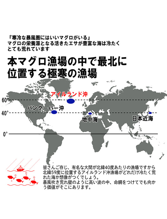 【お取り寄せ(送料込)】＜極寒本鮪＞天然本マグロ　中とろ　1柵約200g