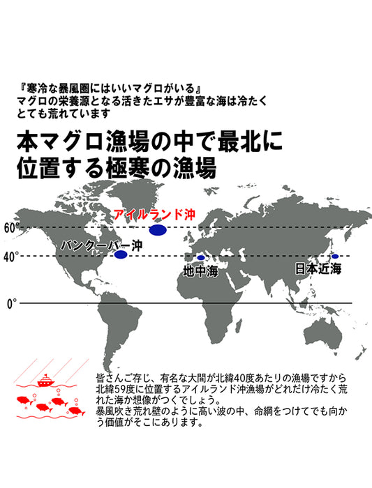 【お取り寄せ(送料込)】＜極寒本鮪＞天然本マグロ　赤身　1柵約200g