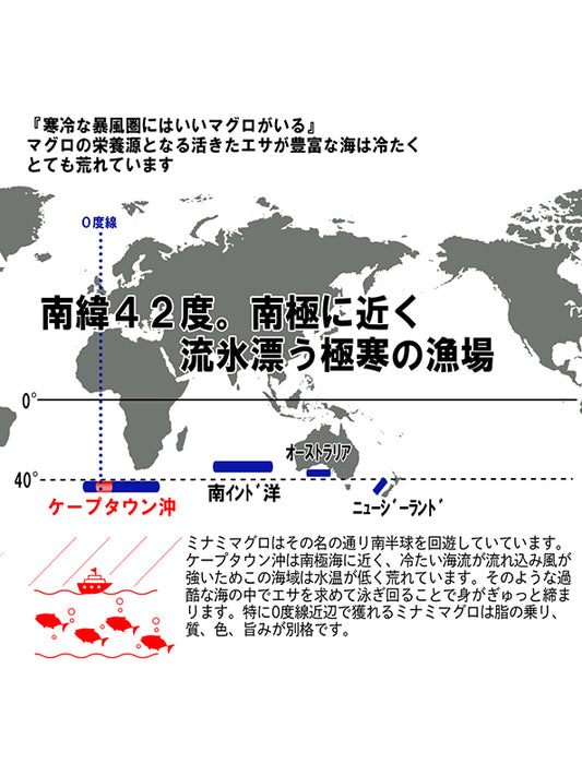 【お取り寄せ(送料込)】＜流氷南鮪＞天然南マグロ　大とろ　1柵約200g