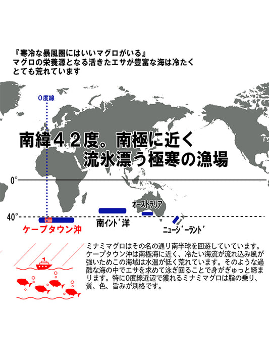 【お取り寄せ(送料込)】＜流氷南鮪＞天然南マグロ　赤身　1柵約200g