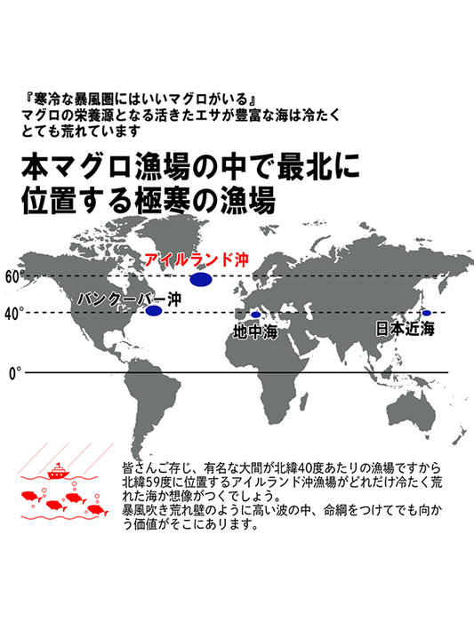 【お取り寄せ(送料込)】＜極寒本鮪＞天然本マグロセットA　赤身約200g×2柵、中とろ約200g×1柵、大とろ約200g×1柵