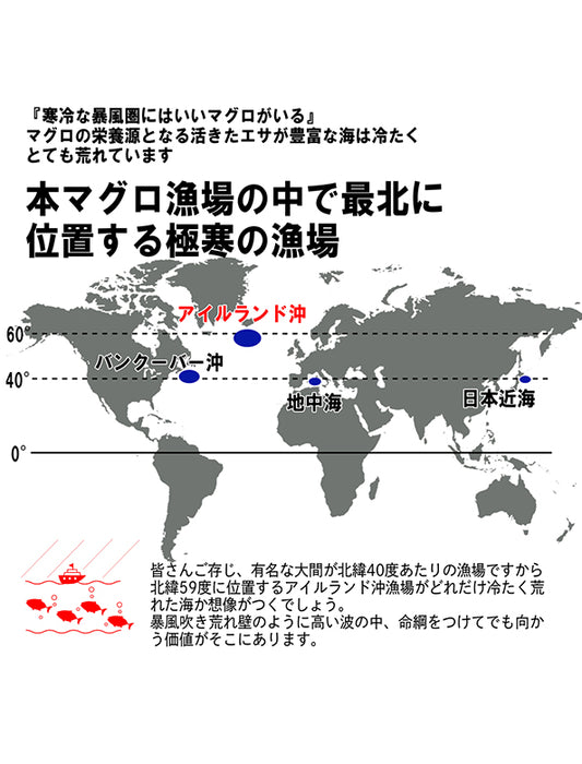 【お取り寄せ(送料込)】＜極寒本鮪＞天然本マグロセットB　赤身約200g×2柵、中とろ約200g×1柵