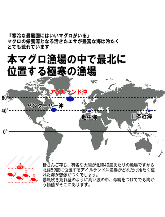 【お取り寄せ(送料込)】＜極寒本鮪＞天然本マグロセットC　赤身約200g×1柵、中とろ約200g×1柵