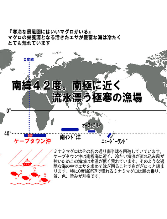 【お取り寄せ(送料込)】＜流氷南鮪＞天然南マグロセットC　赤身約200g×1柵、中とろ約200g×1柵