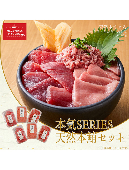 【お取り寄せ(送料込)】＜本気SERIES＞本気SERIES 天然本マグロセット3種　赤身、せとろ、たたき各80gｘ2パック 合計480g